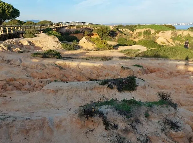 ホームステイ Vivenda Rosa